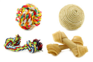 Colorful chew toys – Recommended dog products